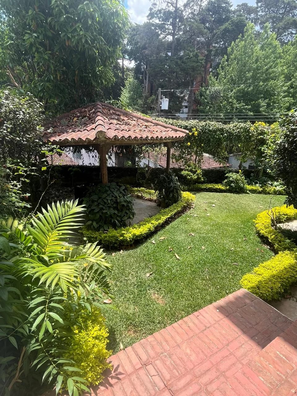 km.8 al Salvador, Los Maderos — foto 1 de 3
