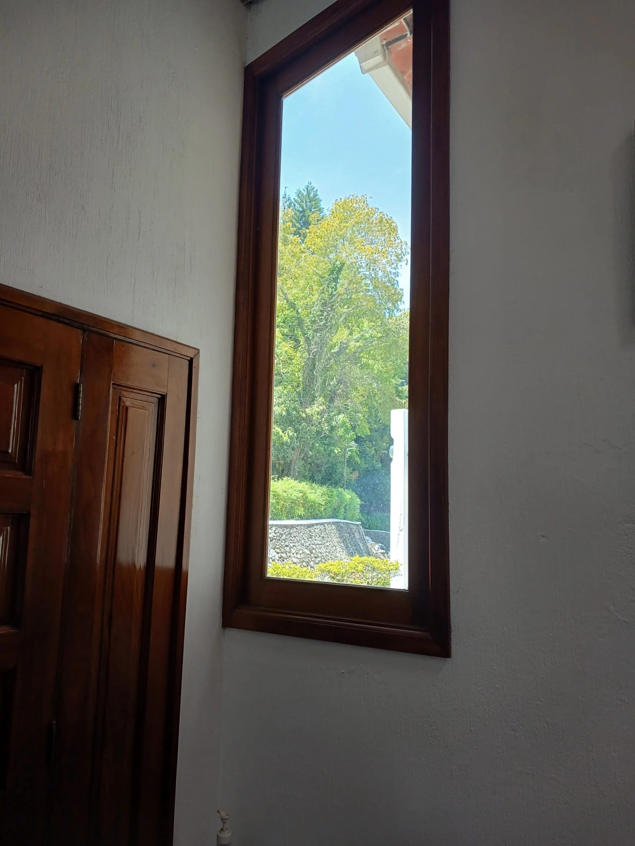 Zona 10 — foto 2 de 8
