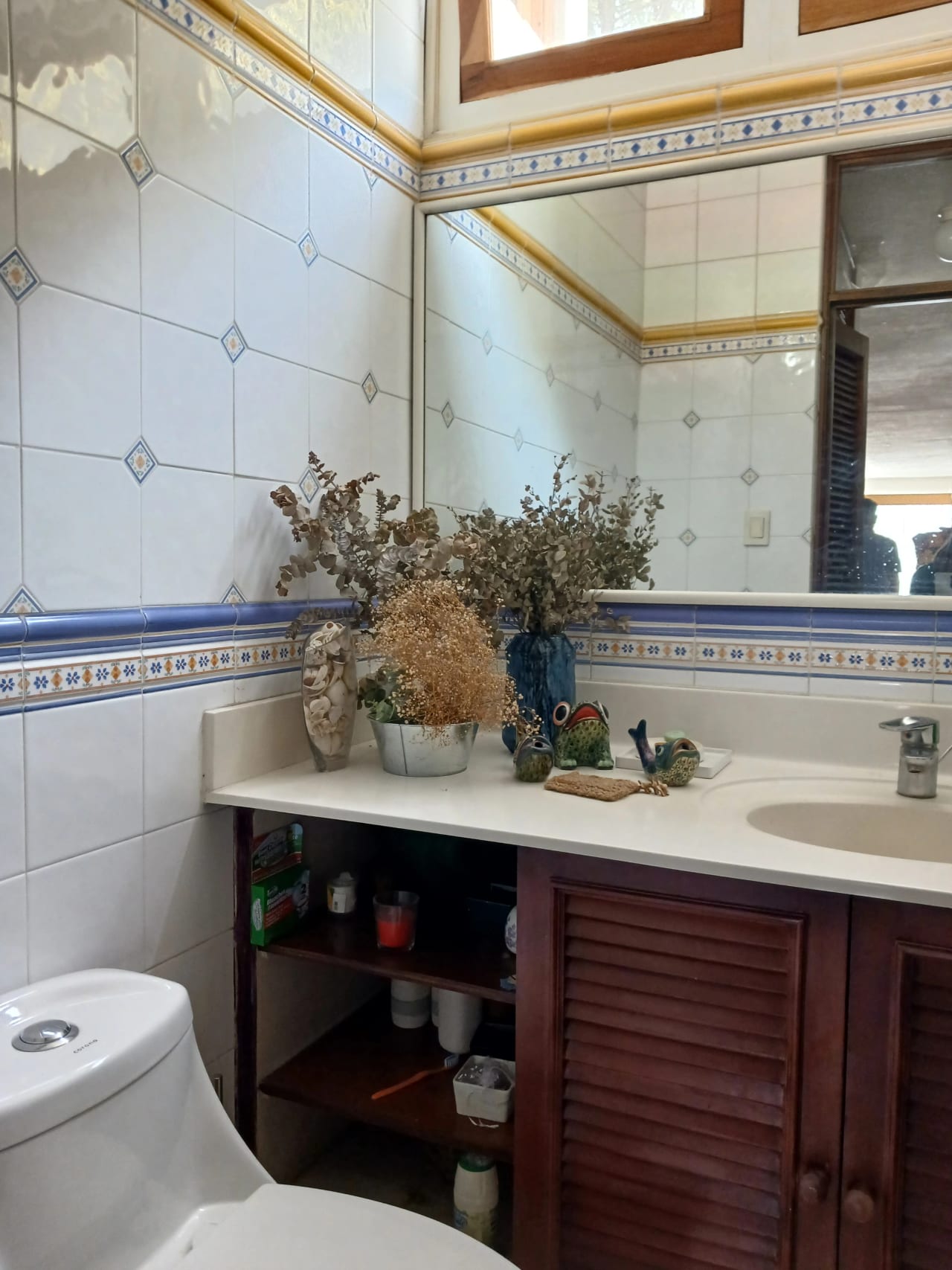 Zona 10 — foto 5 de 8