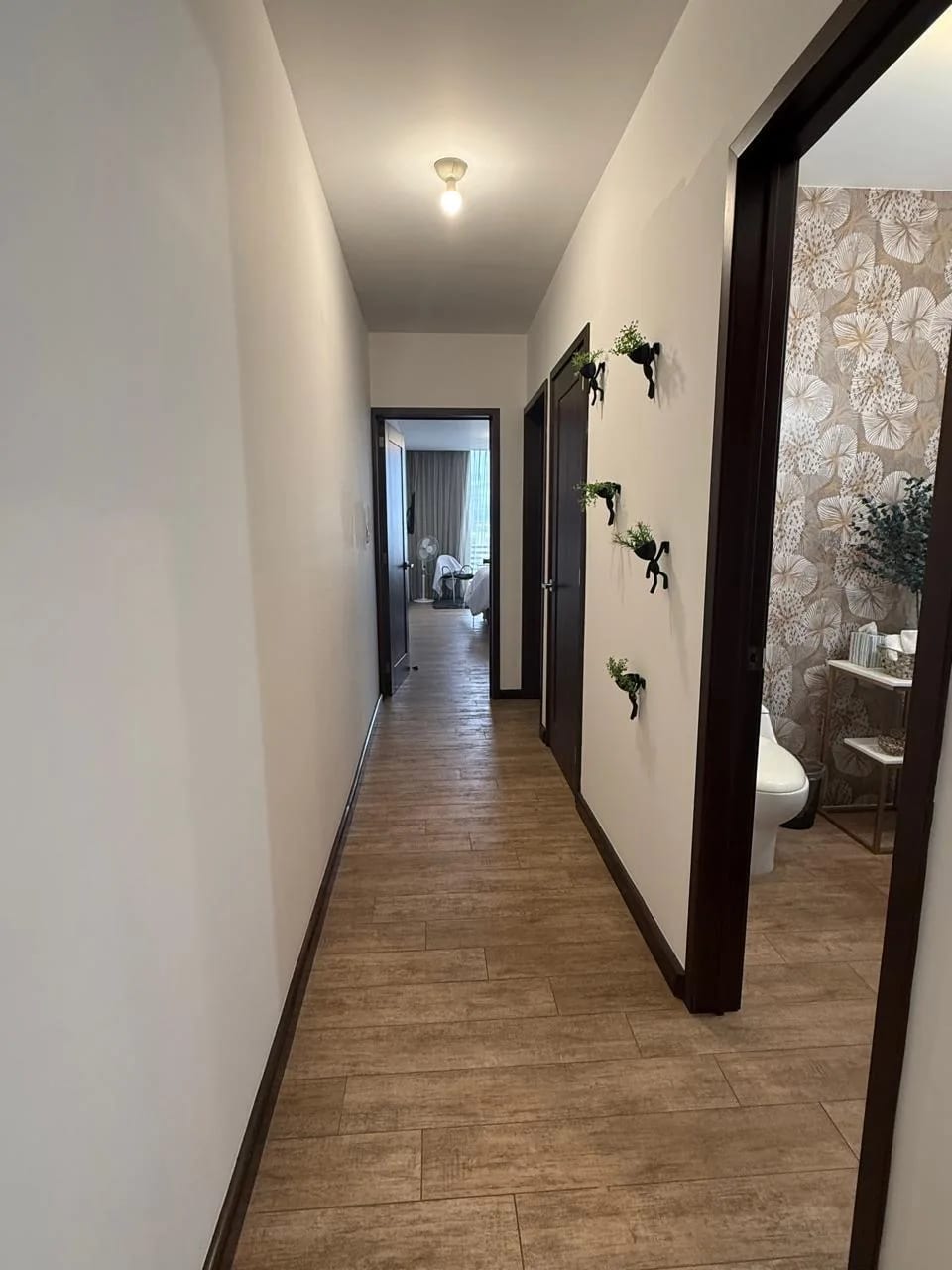 Zona 15 Albero — foto 7 de 11