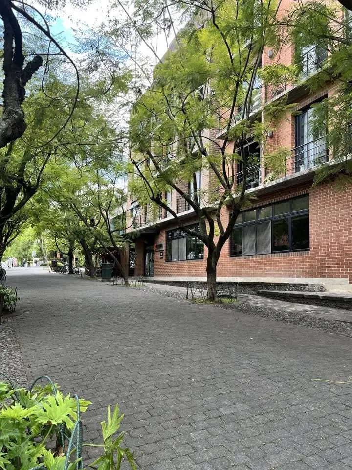 Zona 4 — foto 1 de 5